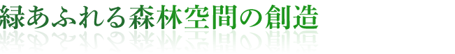 緑あふれる森林空間の創造