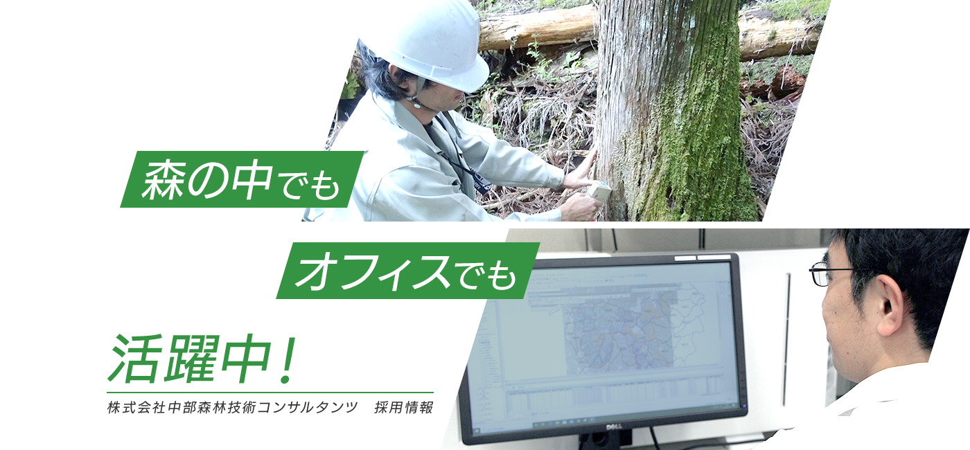 森の中でもオフィスの中でも活躍中!中部森林技術コンサルタンツ 採用情報