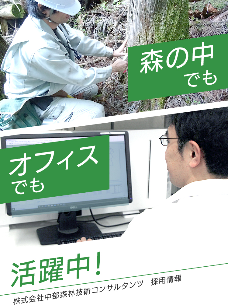 森の中でもオフィスの中でも活躍中！中部森林技術コンサルタンツ　採用情報