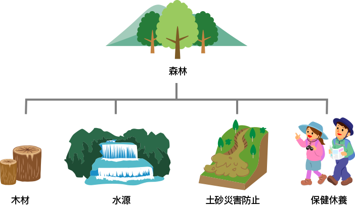 森林の多面的機能